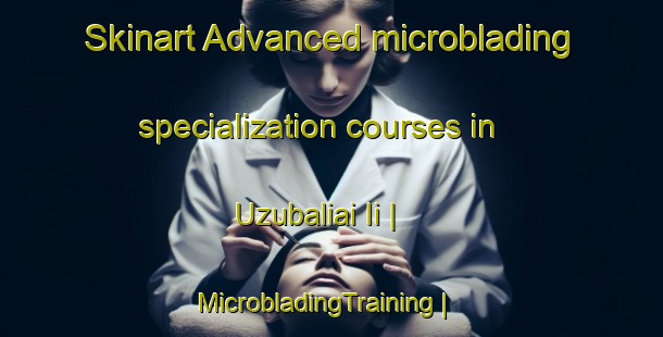 Skinart Advanced microblading specialization courses in Uzubaliai Ii | MicrobladingTraining | MicrobladingClasses | SkinartTraining-Lithuania
